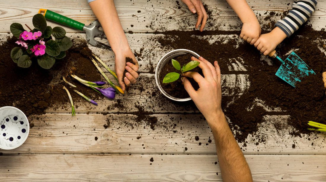 kids hands gardening school