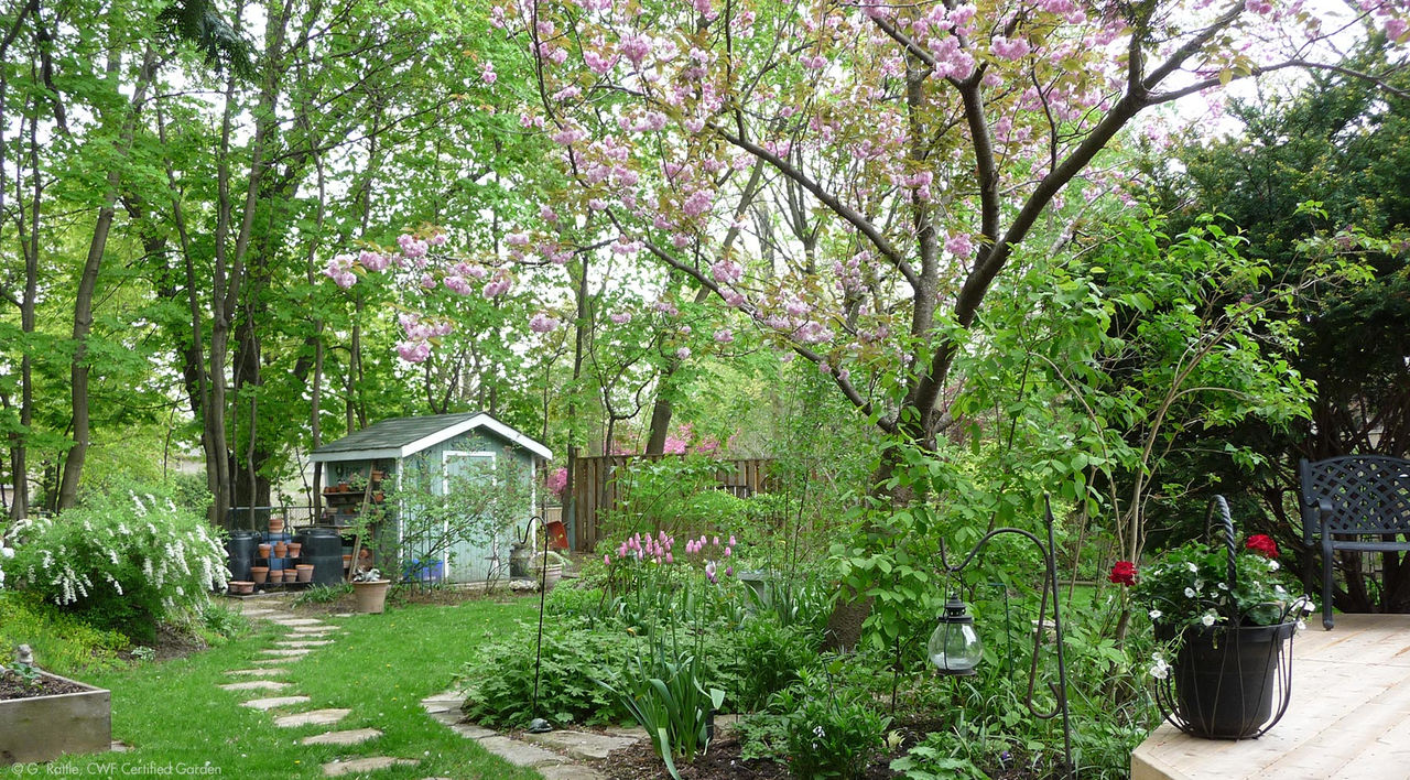 Rattle-G-Toronto-ON-garden-spring-hor.jpg