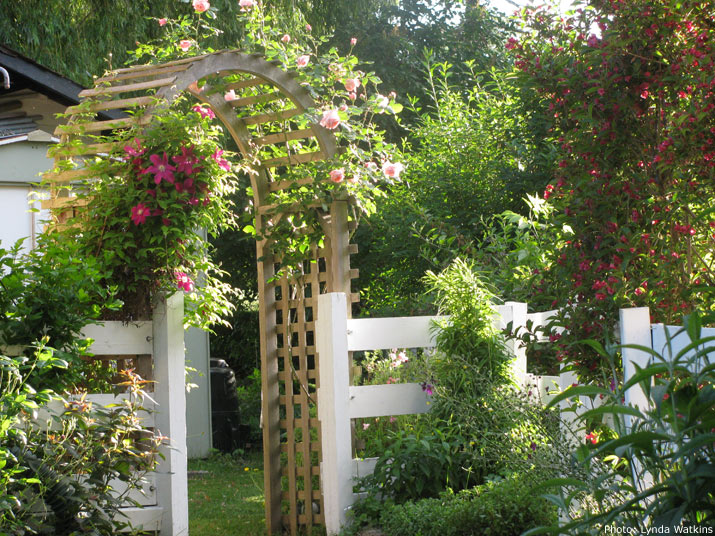 Lynda Watkins garden fence