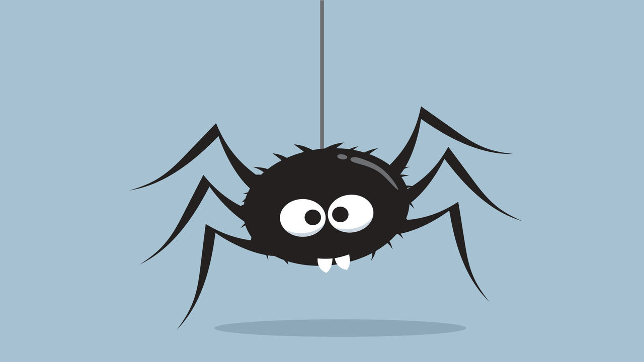 spider illustration