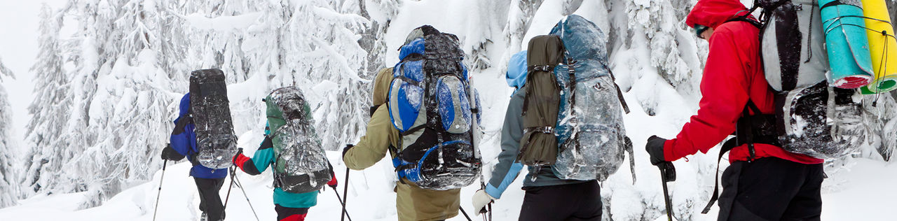 cross country ski