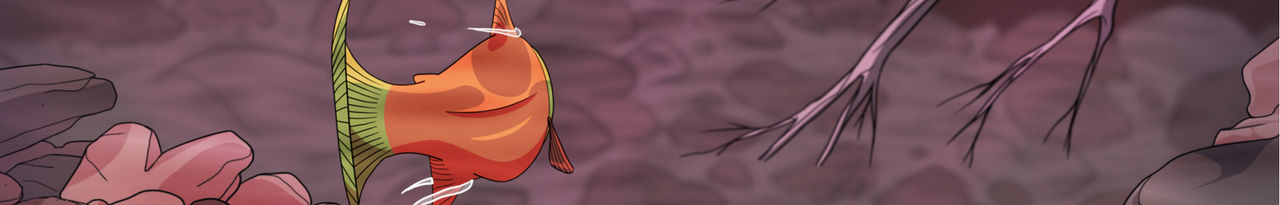 fish passage banner cassette