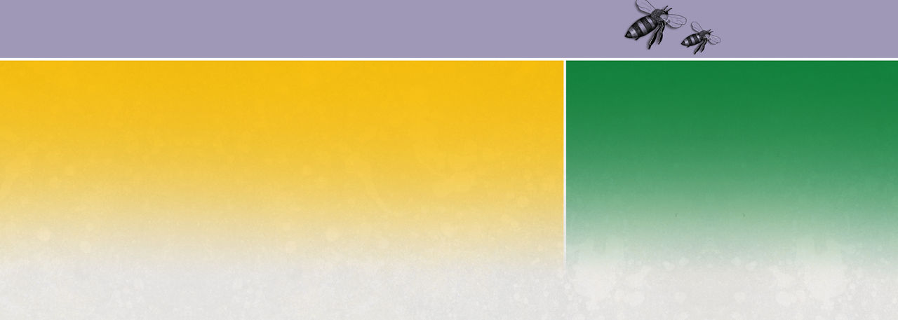 pollinator background