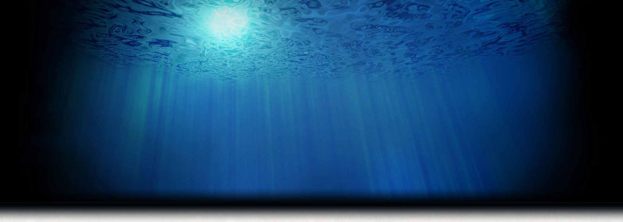 The Great Canadian Turtle Race