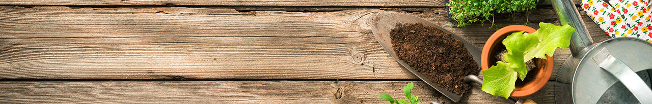 gardening tools plants 