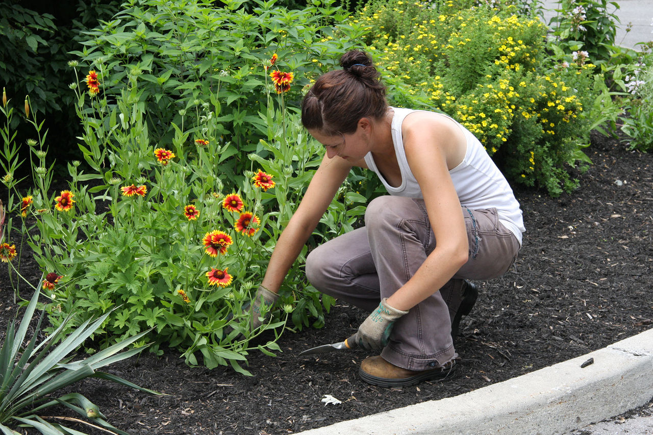 gardening-mary-cwf.jpg