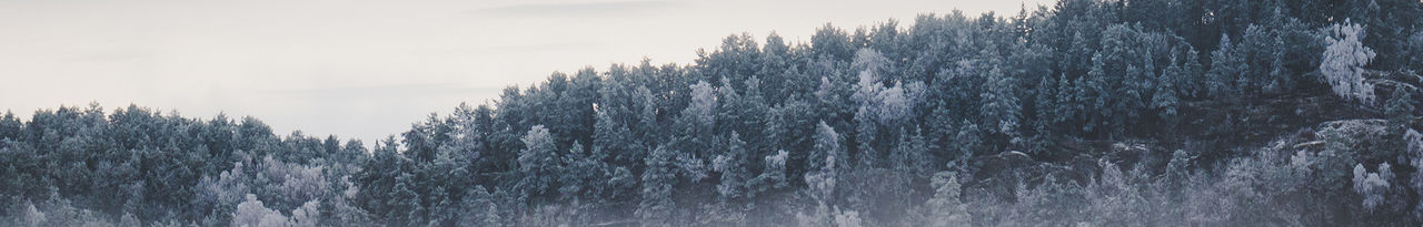 scenic landscape sky snow trees