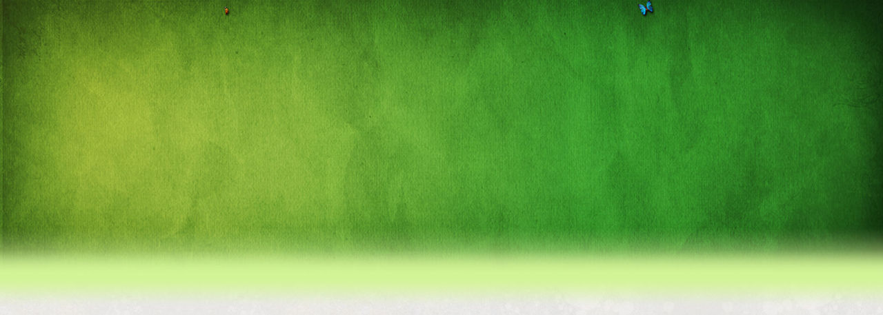 Canadian Wildlife Magazine Online