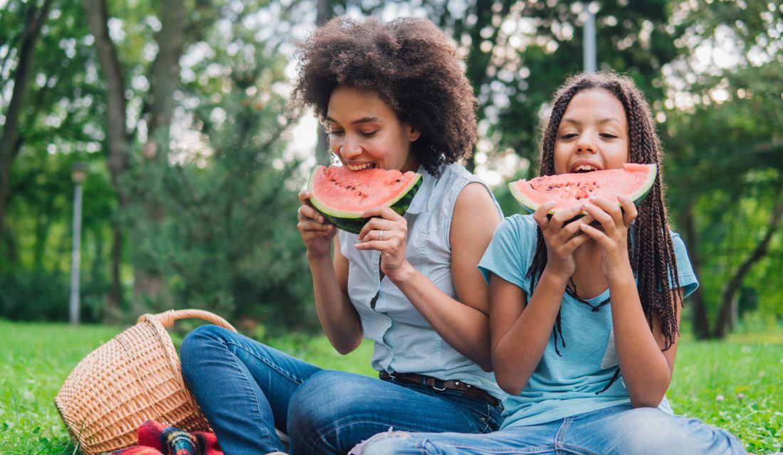 watermelon picnic table