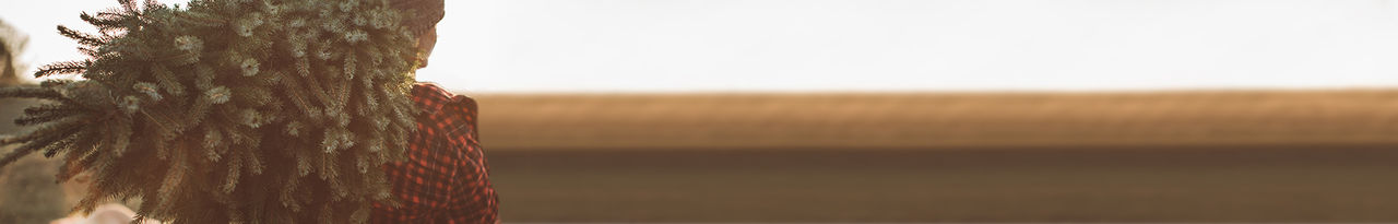 natural christmas tree