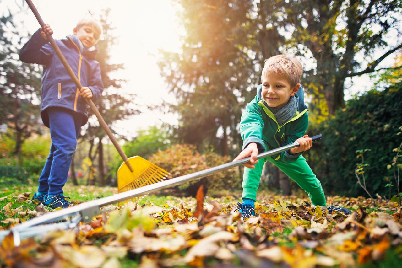 kids raking leaves