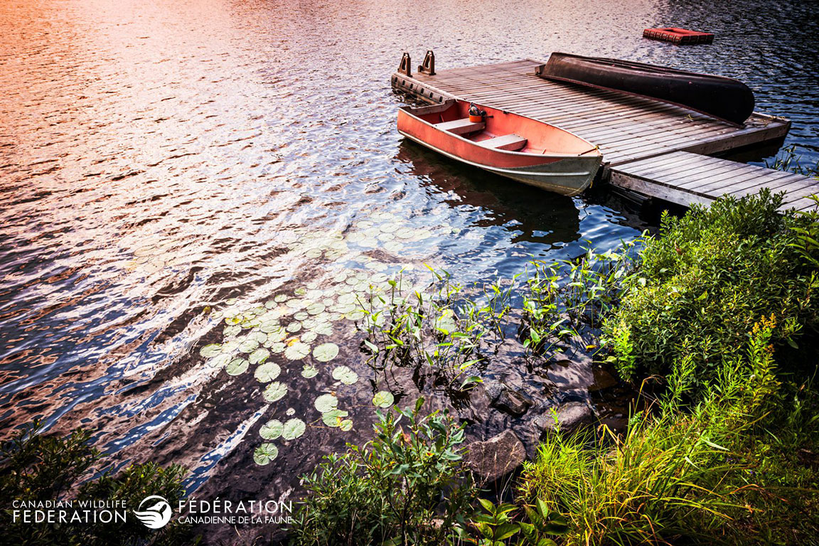 shoreline-ontario-dock-natural-465950789-1536x1024
